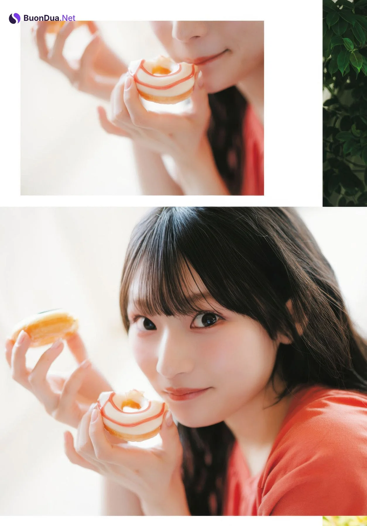 Hina Aoki 青木陽菜, Dragon Age ドラゴンエイジ 2025.09 - Photo 11