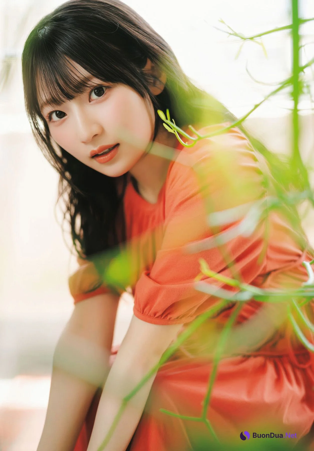 Hina Aoki 青木陽菜, Dragon Age ドラゴンエイジ 2025.09 - Photo 13