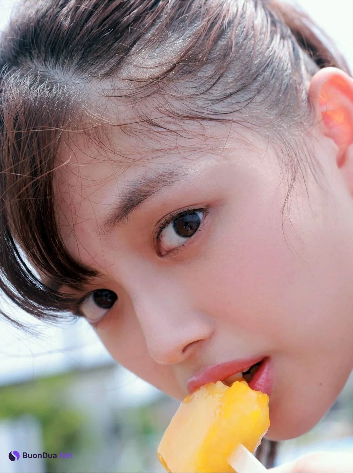 Hinami Mori 森日菜美, 写真集 PROTO STAR Set.01 - Photo 17