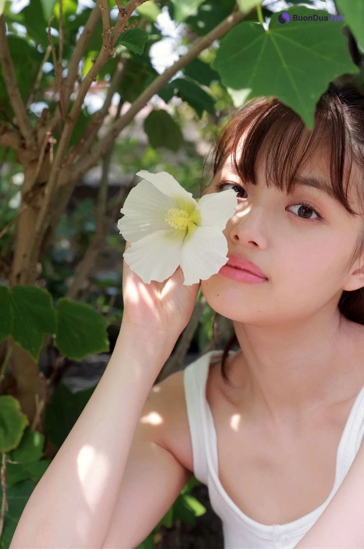 Hinami Mori 森日菜美, 写真集 PROTO STAR Set.01 - Photo 3