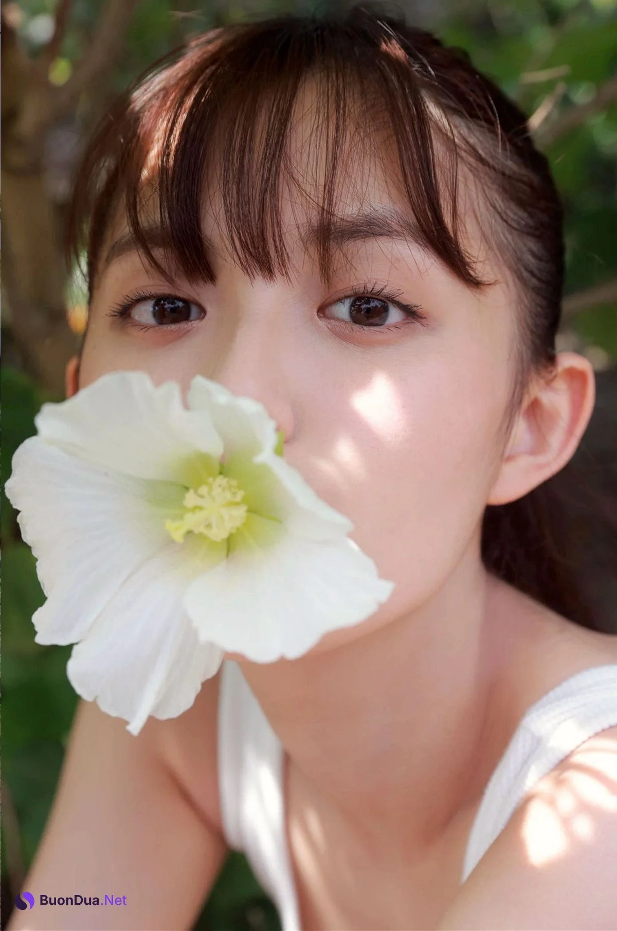 Hinami Mori 森日菜美, 写真集 PROTO STAR Set.01 - Photo 6