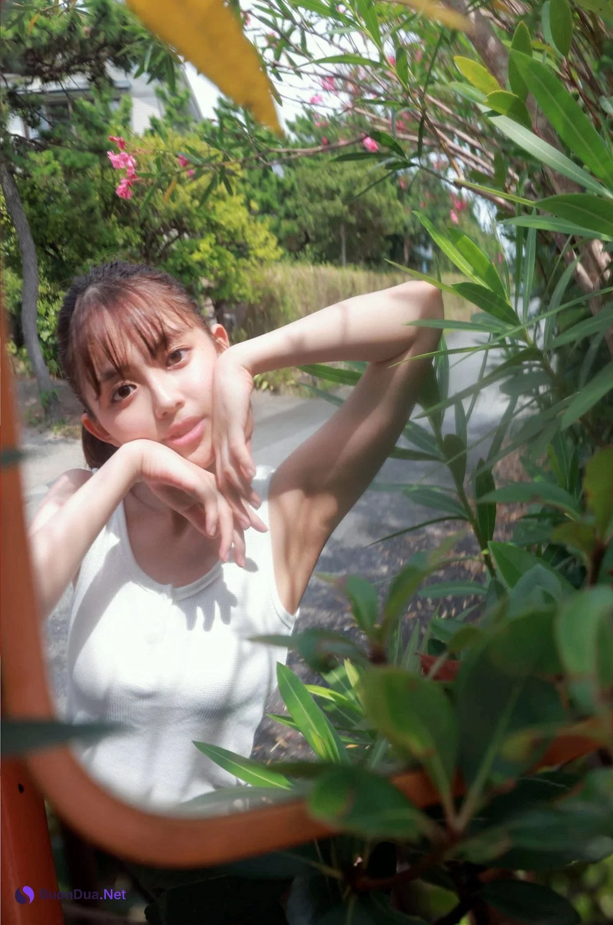Hinami Mori 森日菜美, 写真集 PROTO STAR Set.01 - Photo 9