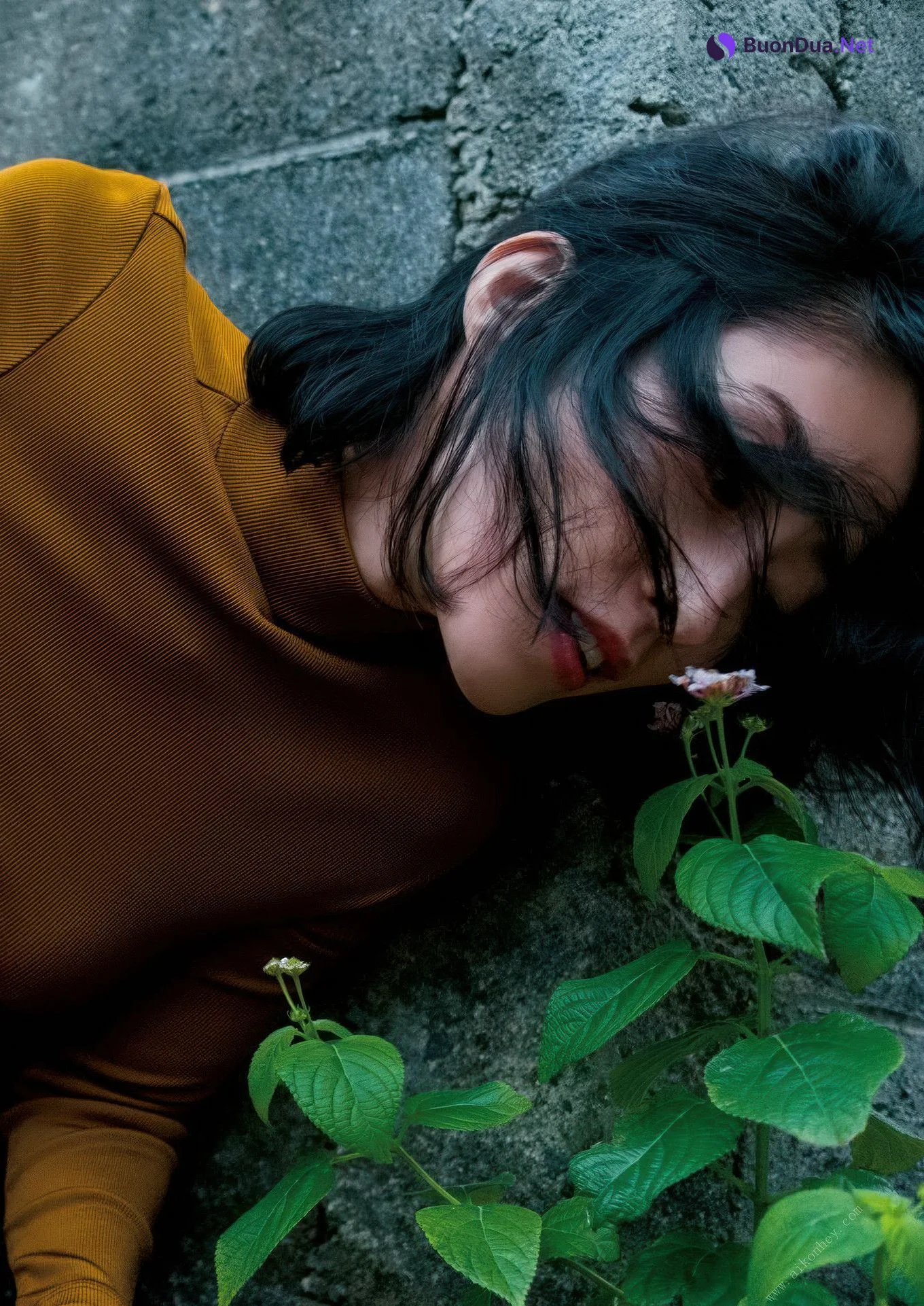 Hiroko Sato 佐藤寛子, FLASHデジタル写真集Q 「1262」 Set.02 - Photo 8