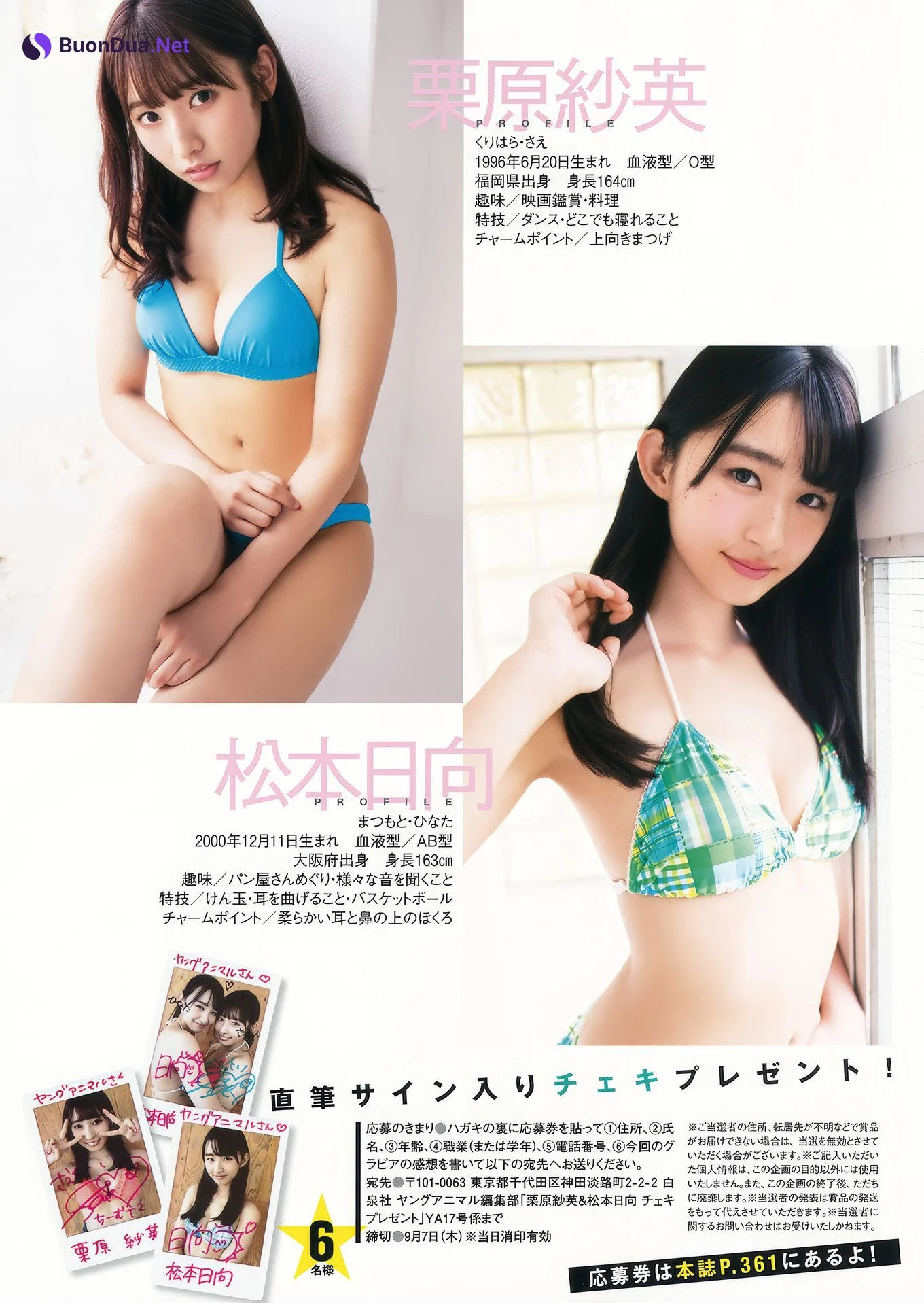 HKT48, Young Animal 2017 No.17 (ヤングアニマル 2017年17号) - Photo 42