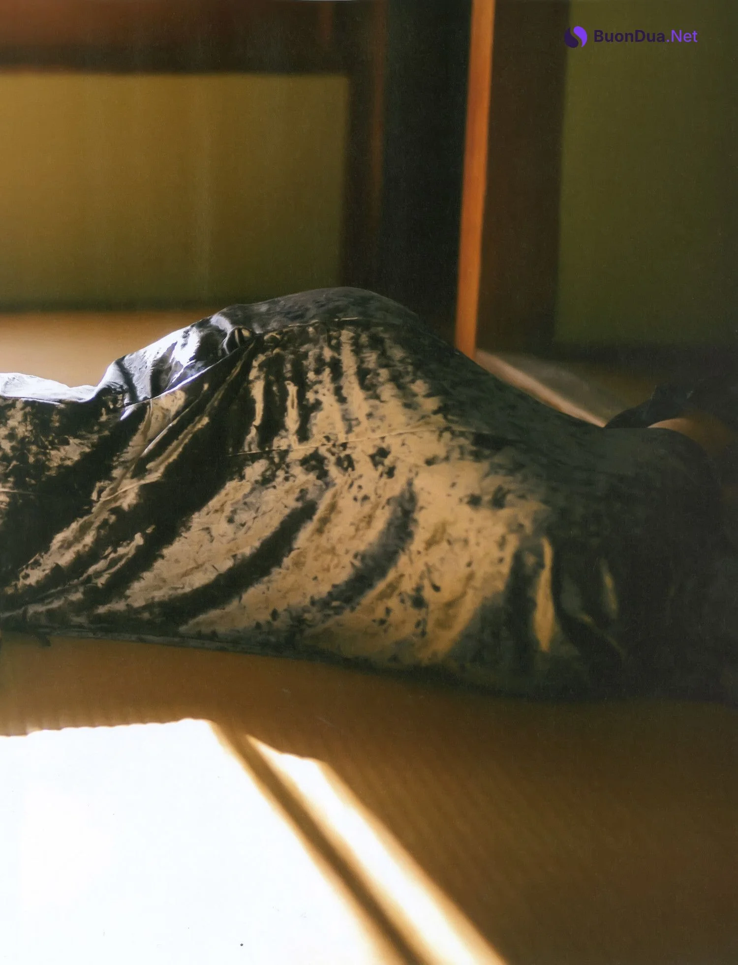 Honoka Hirao 平尾帆夏, 20±SWEET [トゥエンティ・スウィート] 2024 JANUARY - Photo 7