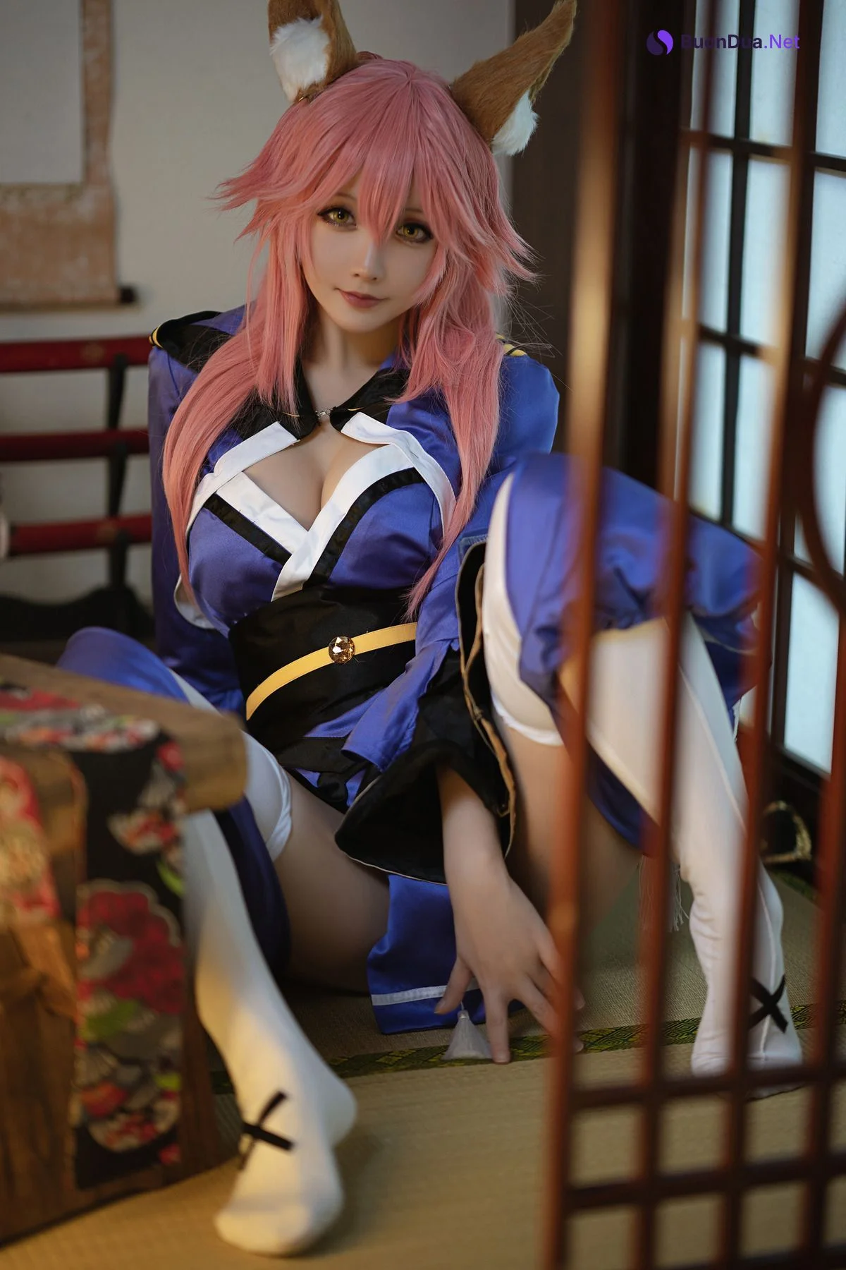 [Hoshilily 星之迟迟] 玉藻前忠犬蓄势待发 - Photo 5
