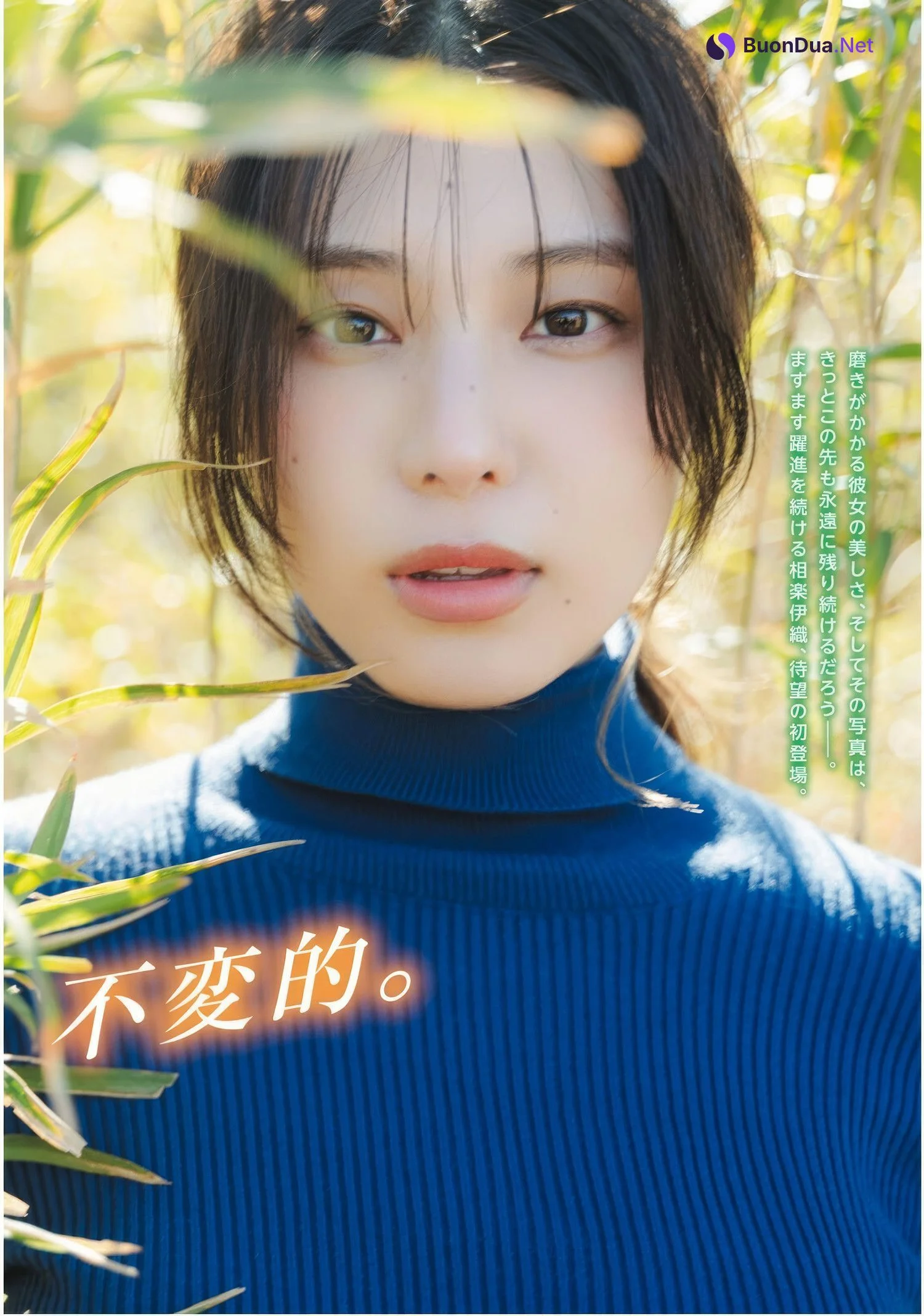 Iori Sagara 相楽伊織, ドラゴンエイジ2025年5月号増刊 ヤングドラゴンエイジ VOL.28 - Photo 2