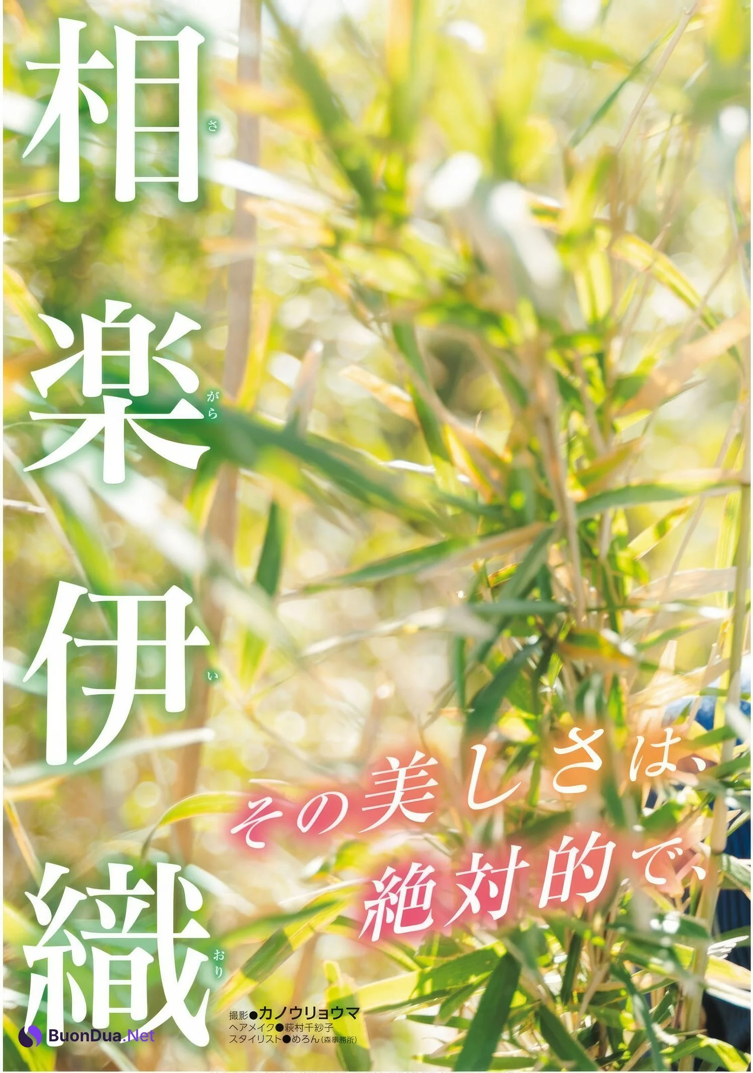 Iori Sagara 相楽伊織, ドラゴンエイジ2025年5月号増刊 ヤングドラゴンエイジ VOL.28 - Photo 3