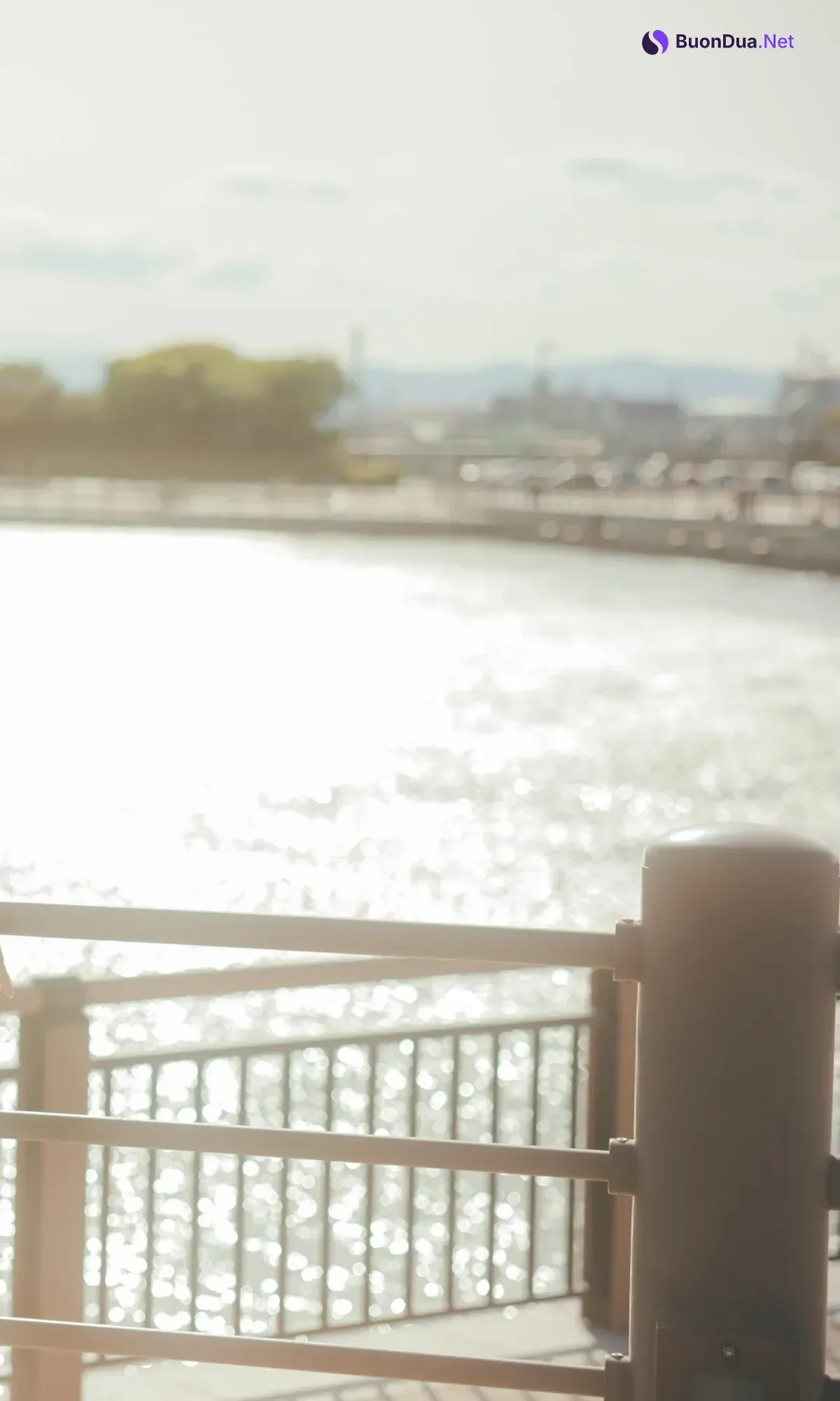 Iori Sagara 相楽伊織, 写真集 「more and more」 - Photo 3