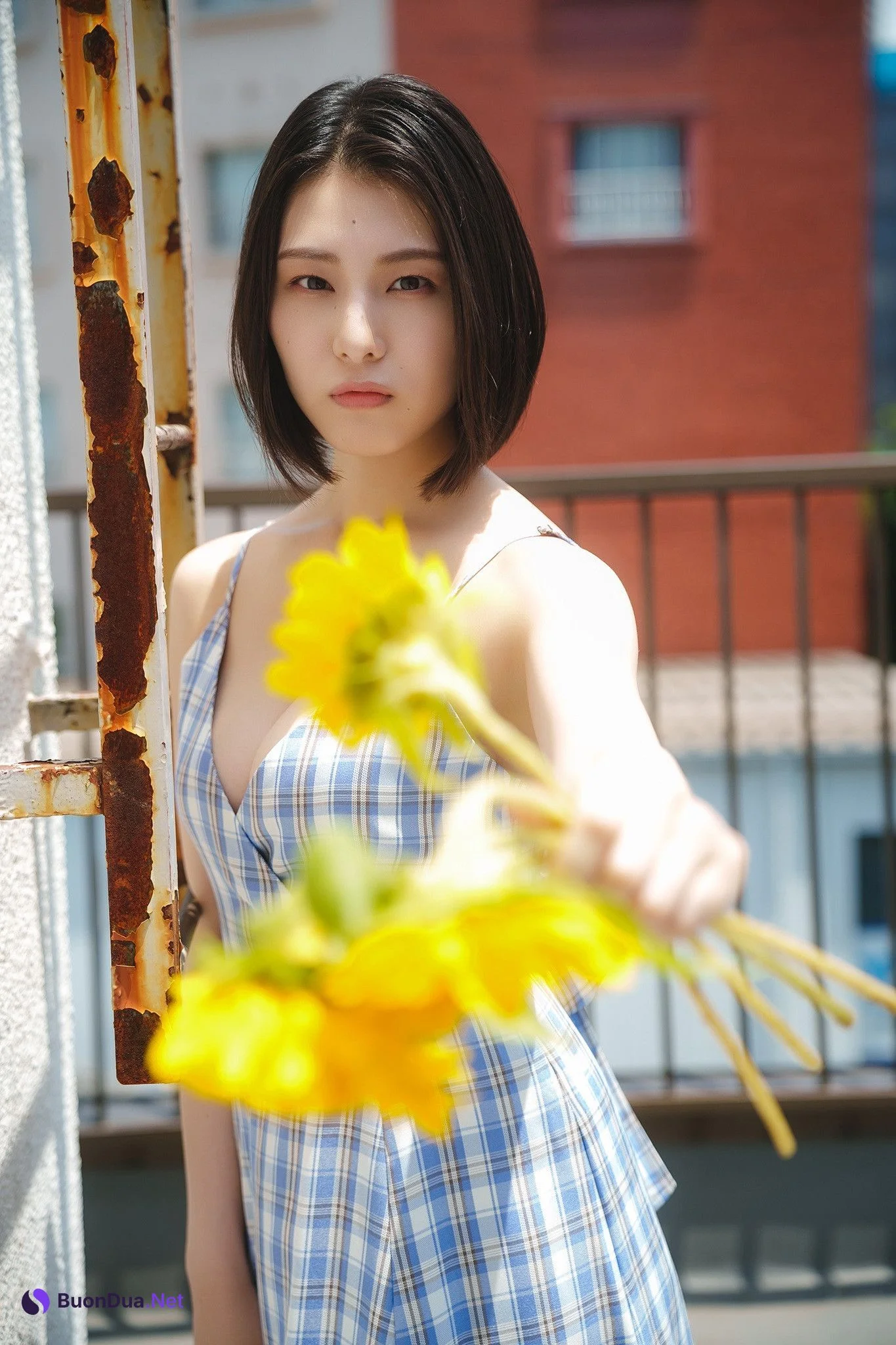 Iori Sagara 相楽伊織, ヤングチャンピオンデジグラ 「夏の部屋で、伊織と。」 Set.01 - 照片 7