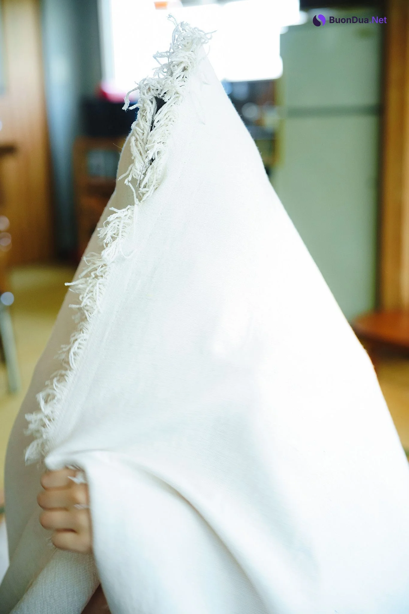 Iori Sagara 相楽伊織, ヤングチャンピオンデジグラ 「夏の部屋で、伊織と。」 Set.02 - 写真 12