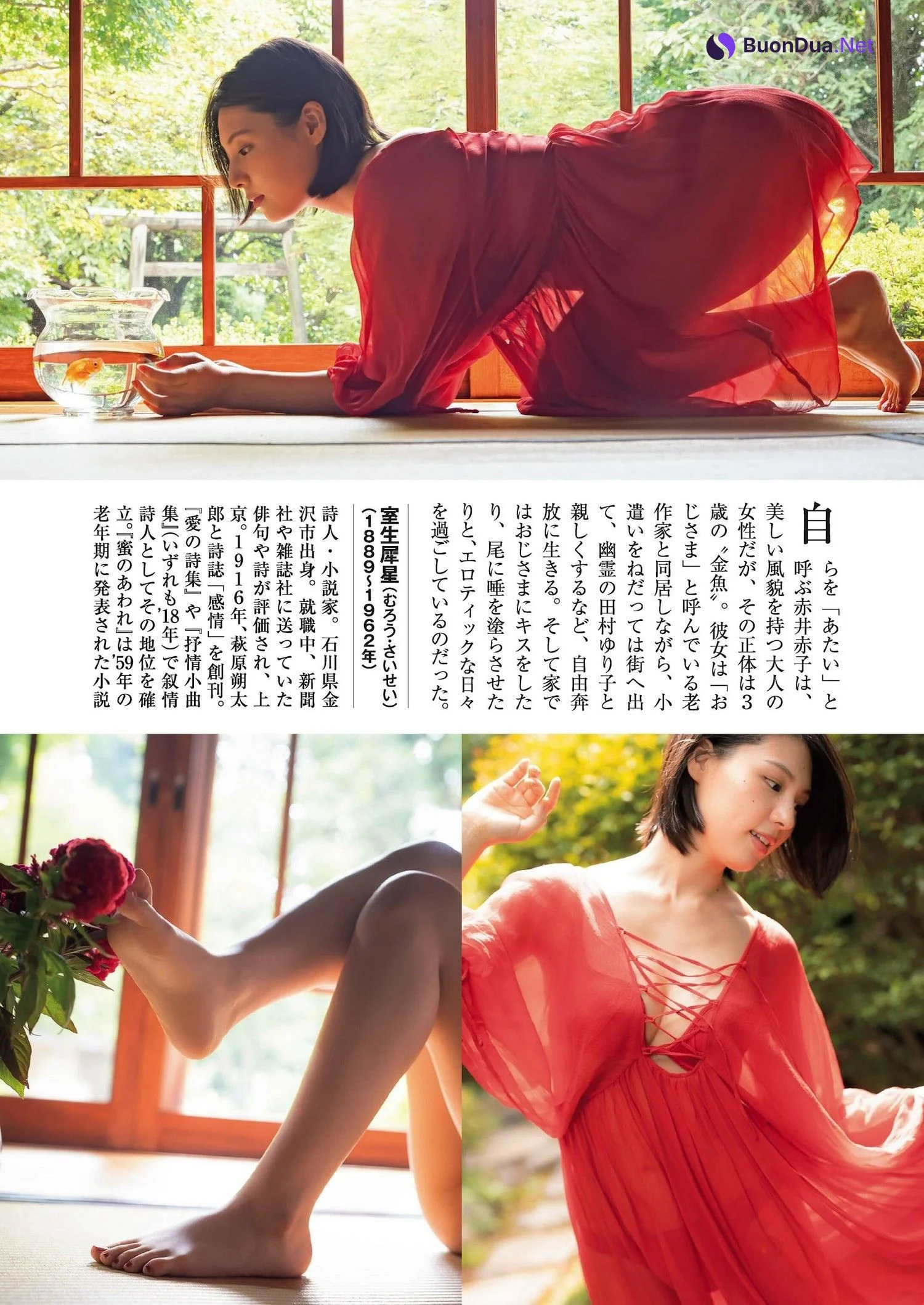 Iori Sagara 相楽伊織, Shukan Gendai 2023.10.28 (週刊現代 2023年10月28日号) - Photo 2