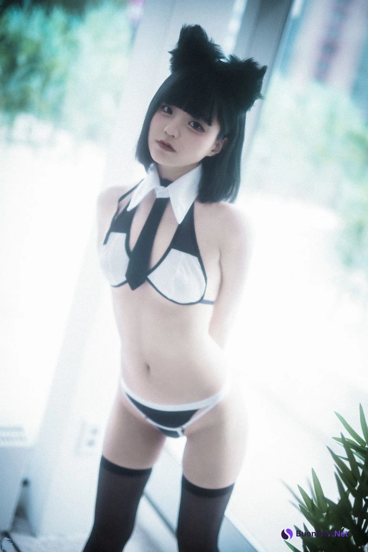 Jeong Jenny 정제니, [BLUECAKE] Meow Set.01 - Photo 12