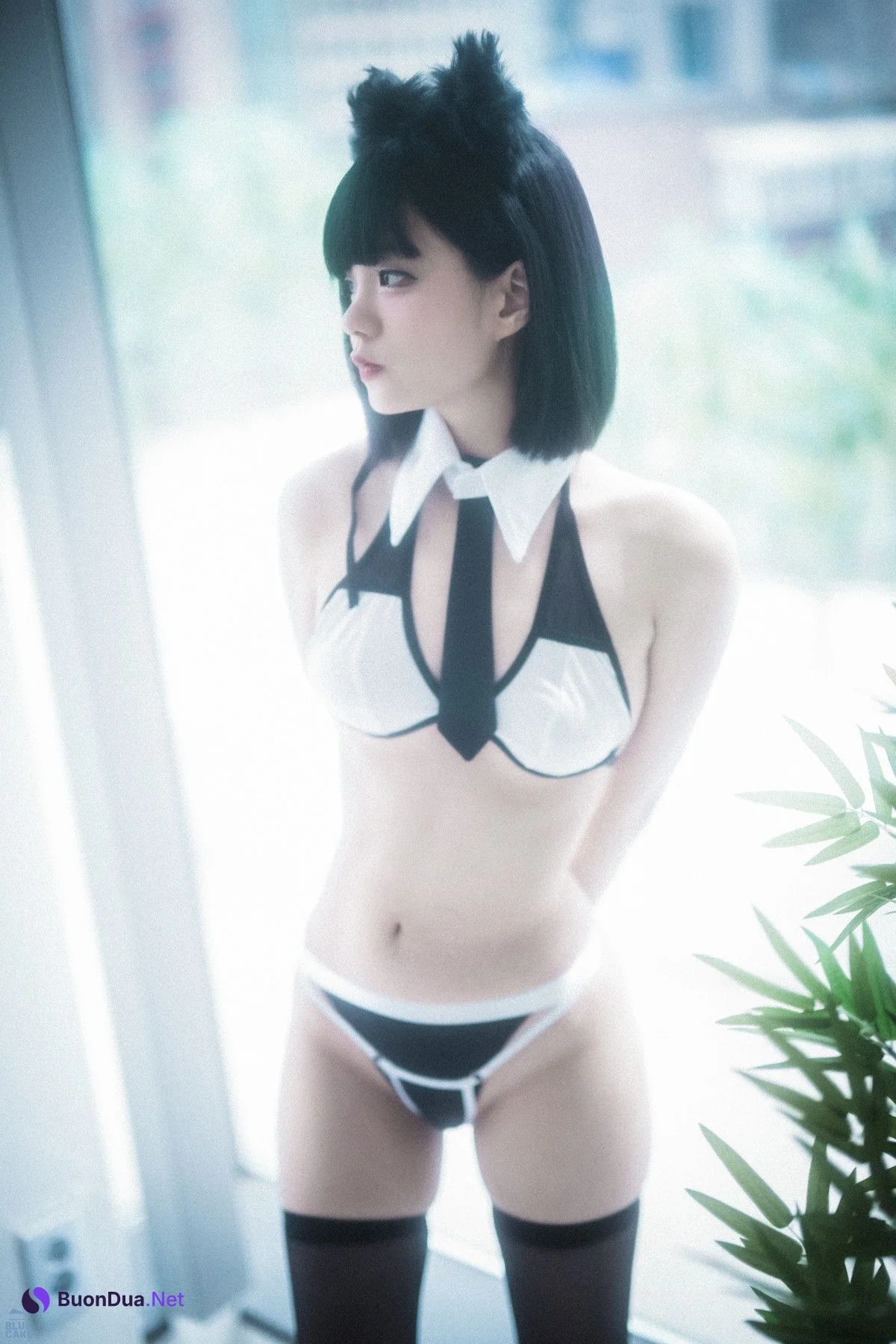 Jeong Jenny 정제니, [BLUECAKE] Meow Set.01 - Photo 6