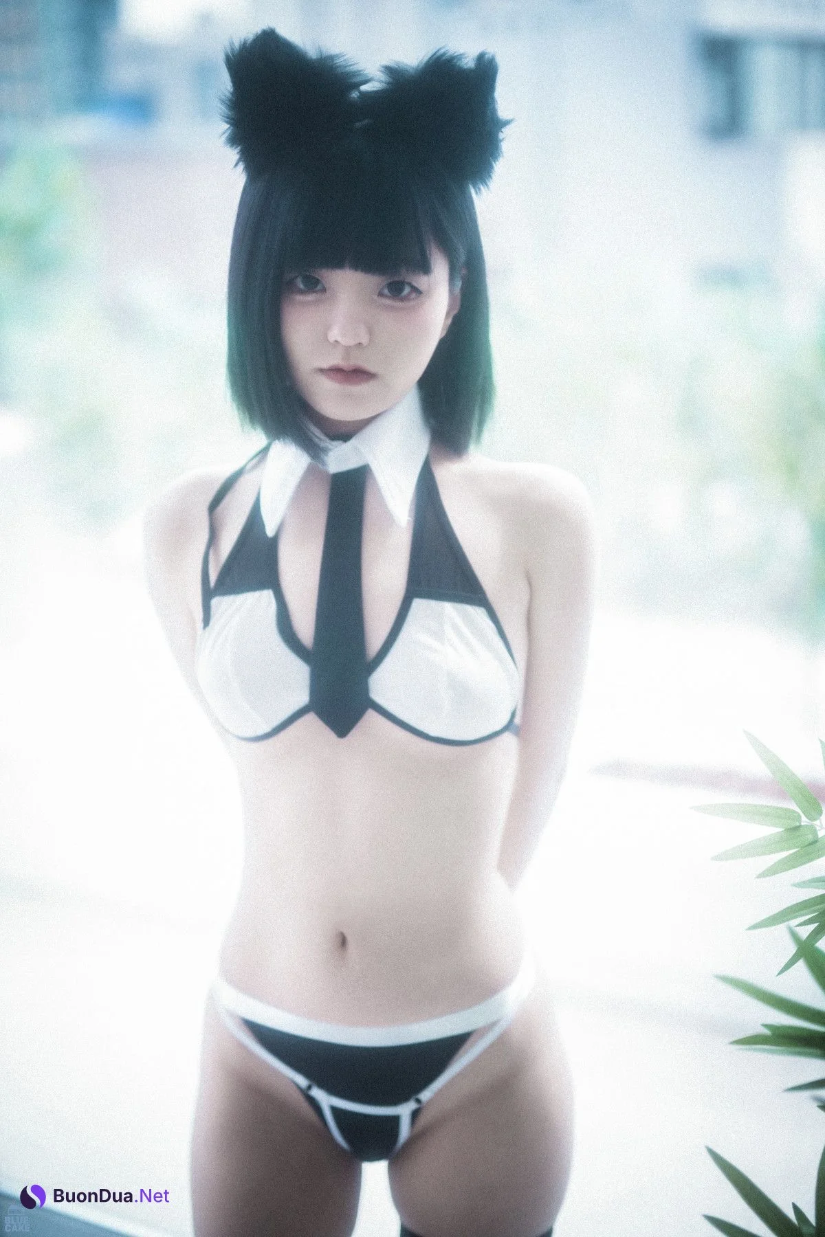 Jeong Jenny 정제니, [BLUECAKE] Meow Set.01 - Photo 8