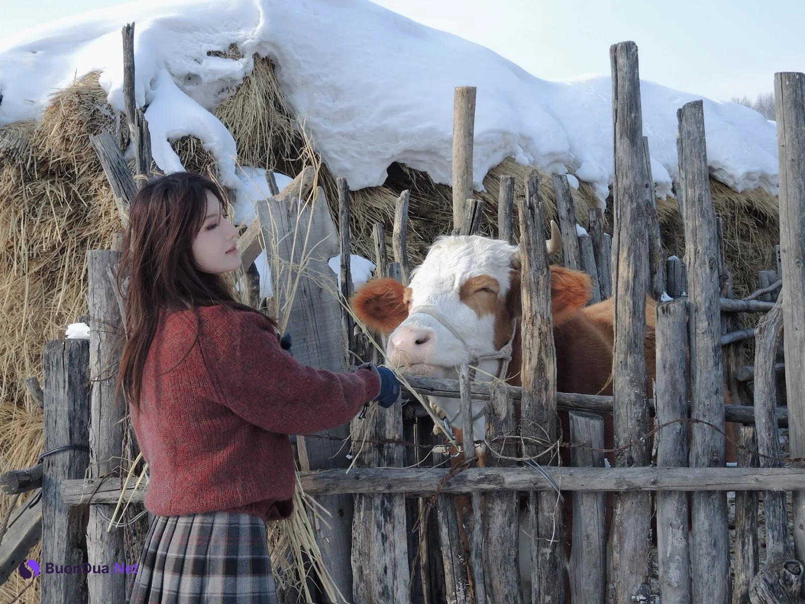 Jiu Shi A Zhu A (就是阿朱啊) – 雪国精灵 - Photo 11