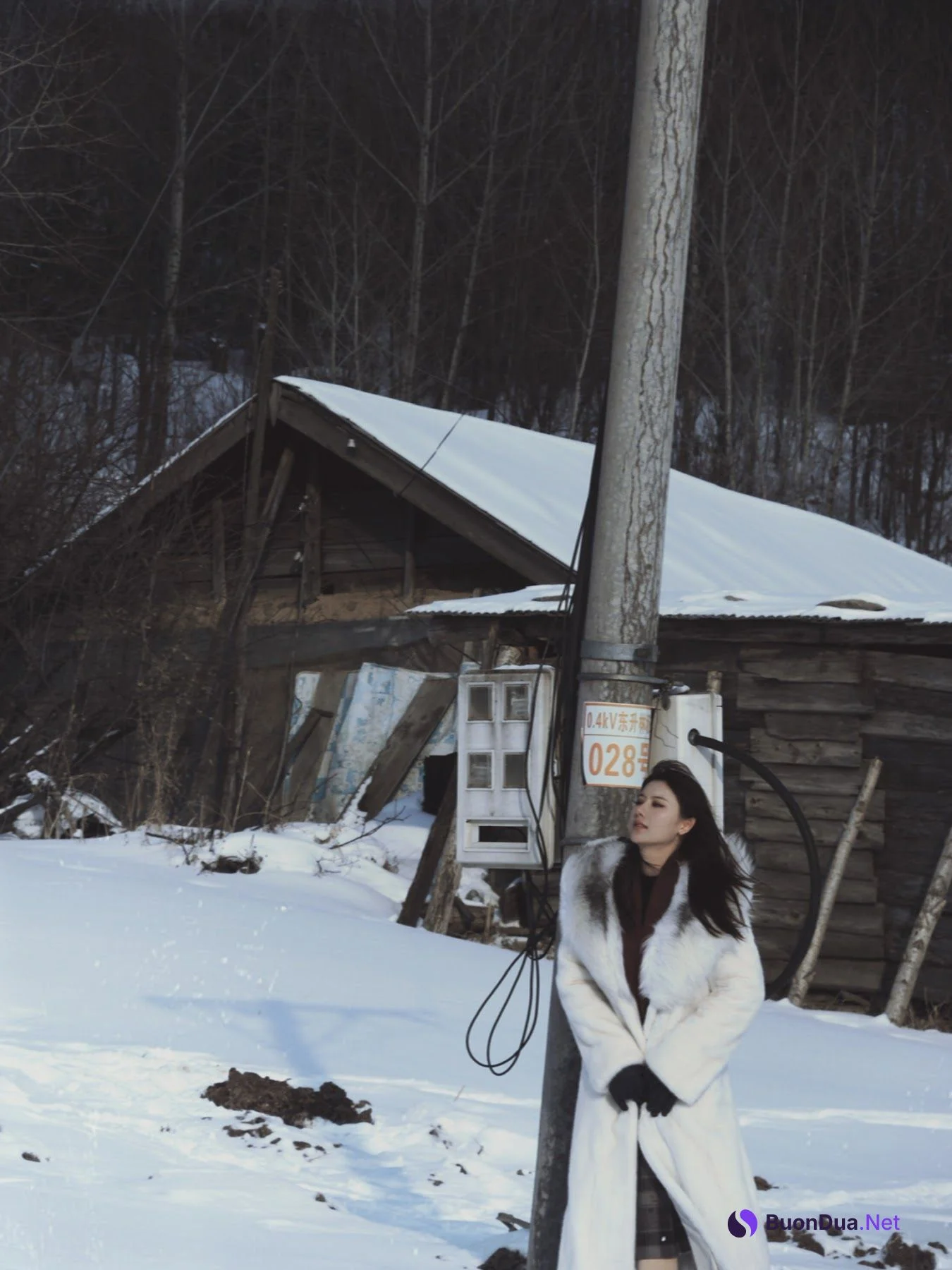 Jiu Shi A Zhu A (就是阿朱啊) – 雪国精灵 - Photo 14
