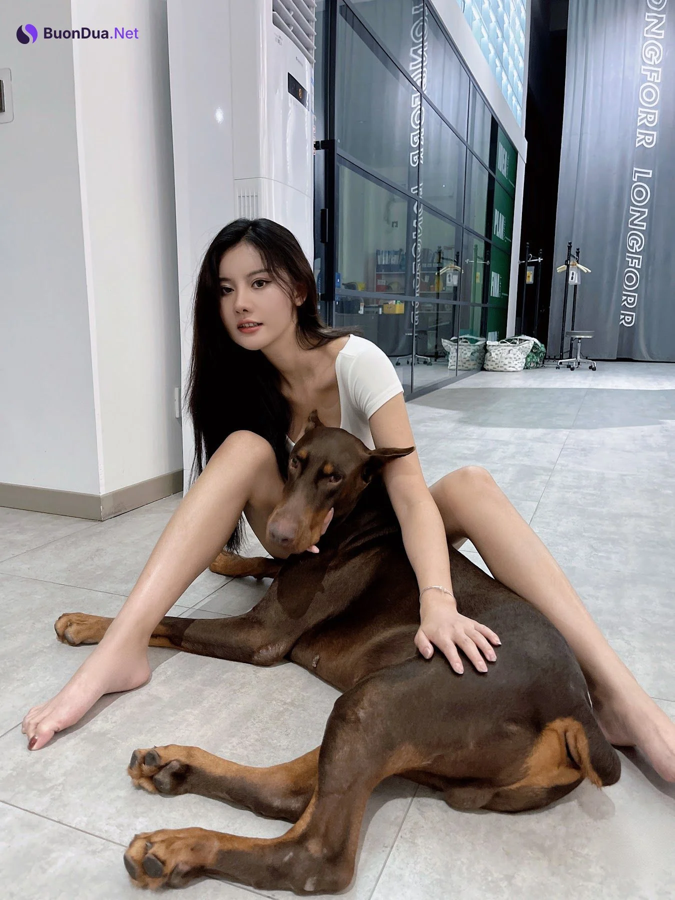 Jiu Shi A Zhu A (就是阿朱啊) – 杜宾狗 - Photo 16