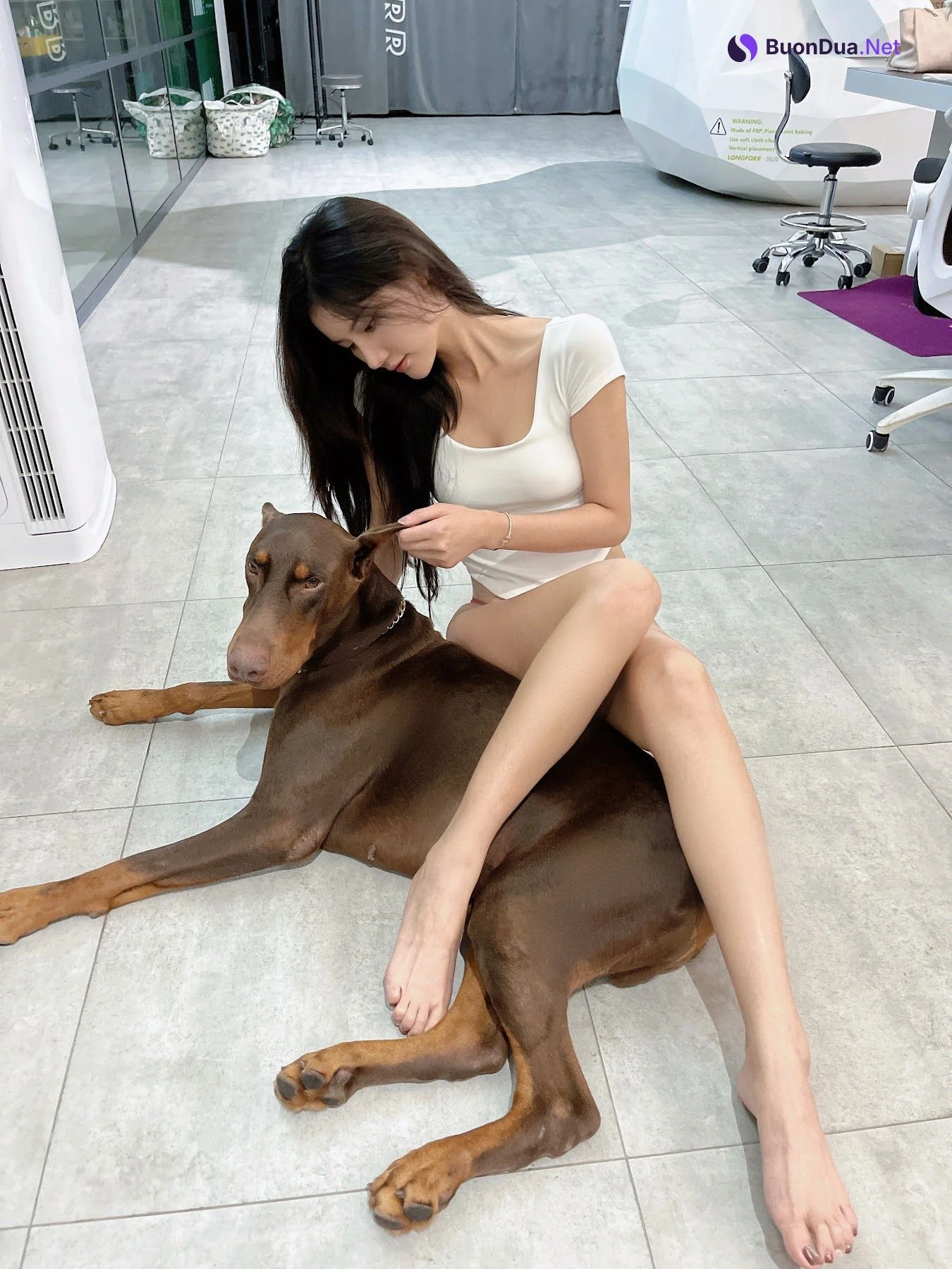 Jiu Shi A Zhu A (就是阿朱啊) – 杜宾狗 - Photo 18