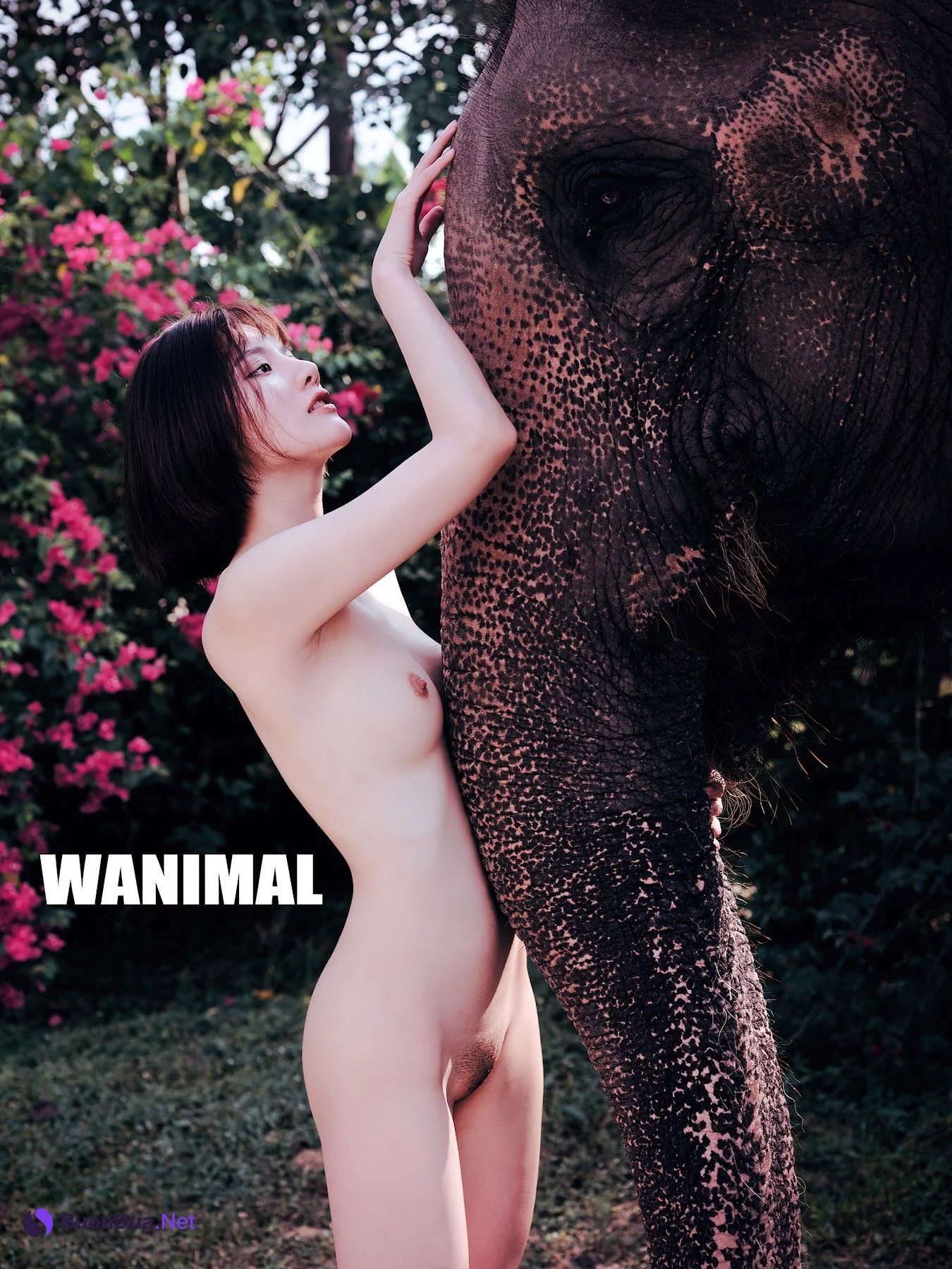 Jiu Shi A Zhu A (就是阿朱啊) – Premium Photo Set Collection No.013 - รูปภาพ 14