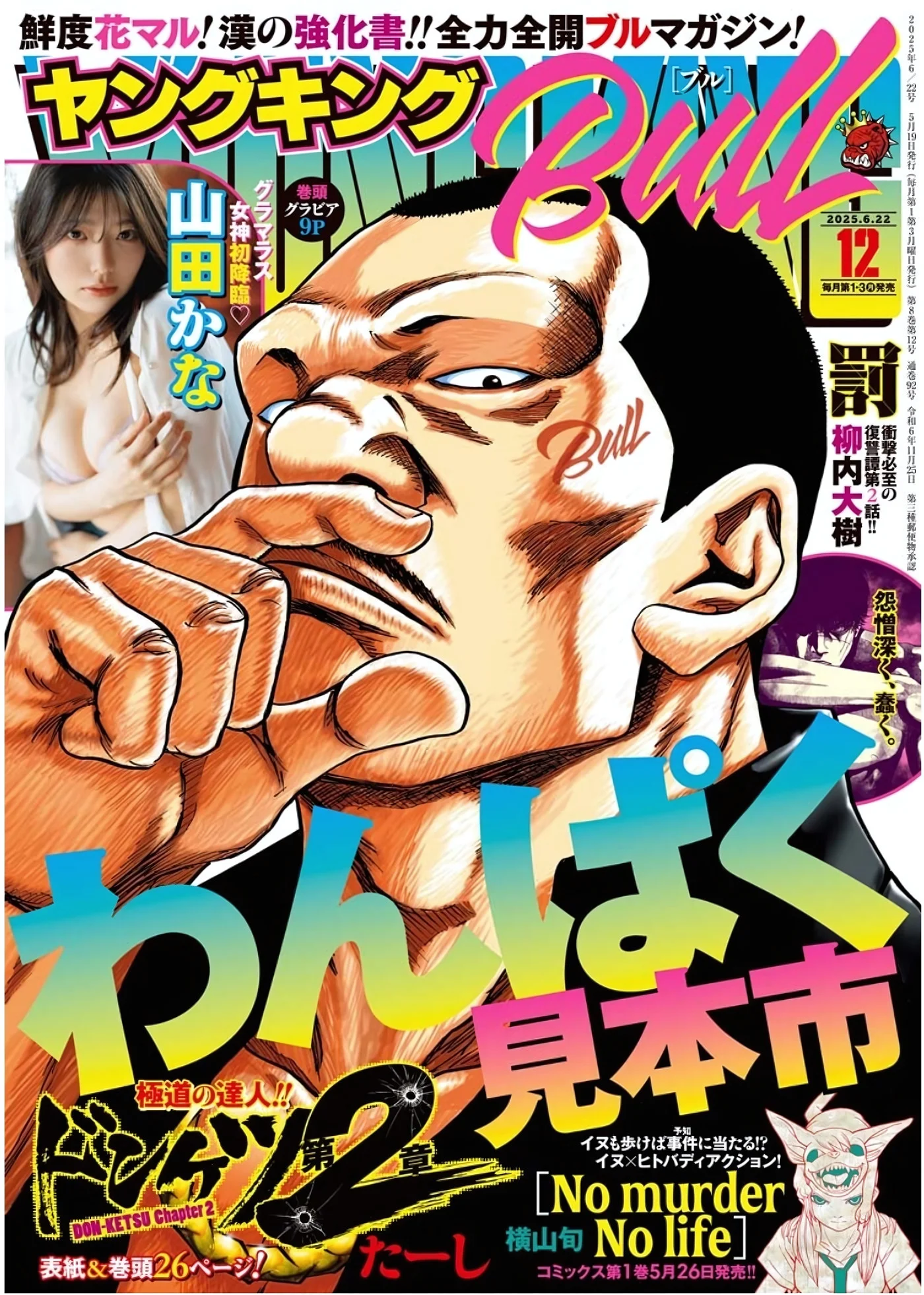 Kana Yamada 山田かな, Young King Bull 2025.06 (ヤングキングBULL 2025年6号)