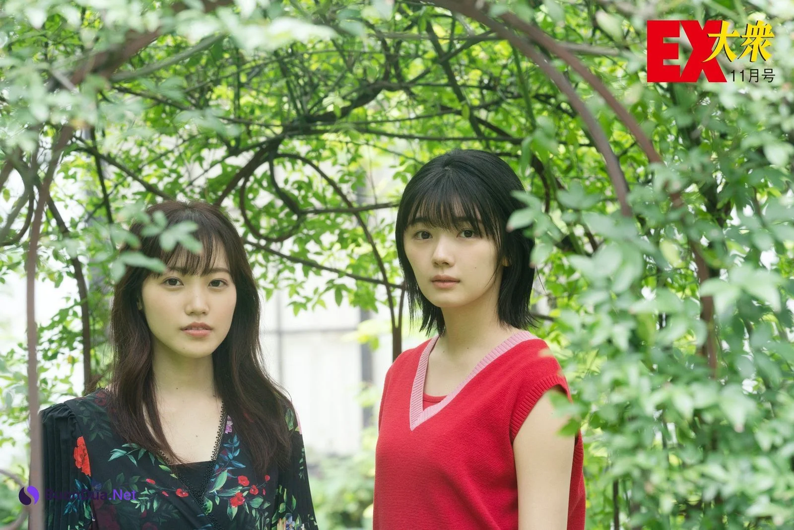Karin Fujiyoshi 藤吉夏鈴, Rina Matsuda 松田里奈, Ex-Taishu 2020 No.11 (EX大衆 2020年11月号) - Photo 12