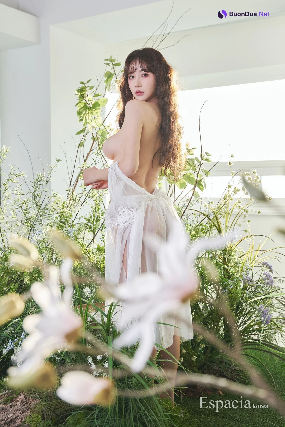 K.D.L 감동란, Espacia Korea EHC#131 - Photo 10