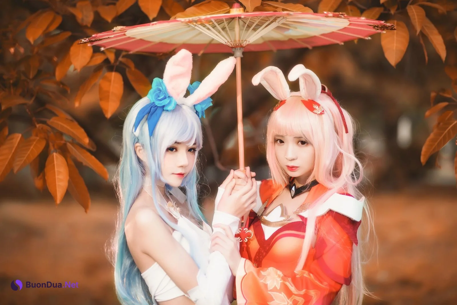 [桜桃喵] Kemonomimi 双人公孙离 ( Arena of Valor ) - Photo 10