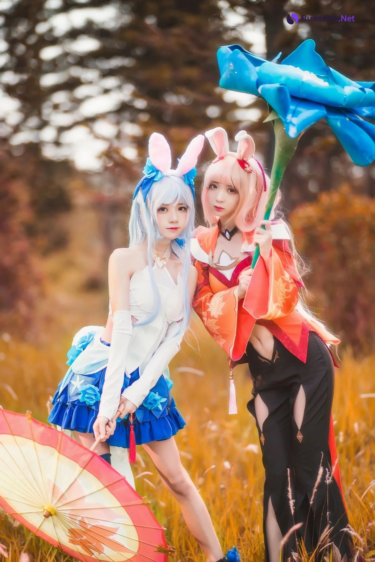 [桜桃喵] Kemonomimi 双人公孙离 ( Arena of Valor ) - Photo 11