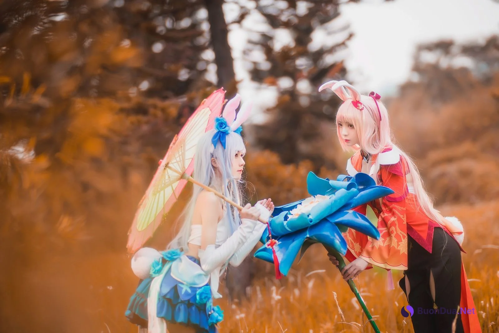 [桜桃喵] Kemonomimi 双人公孙离 ( Arena of Valor ) - Photo 12