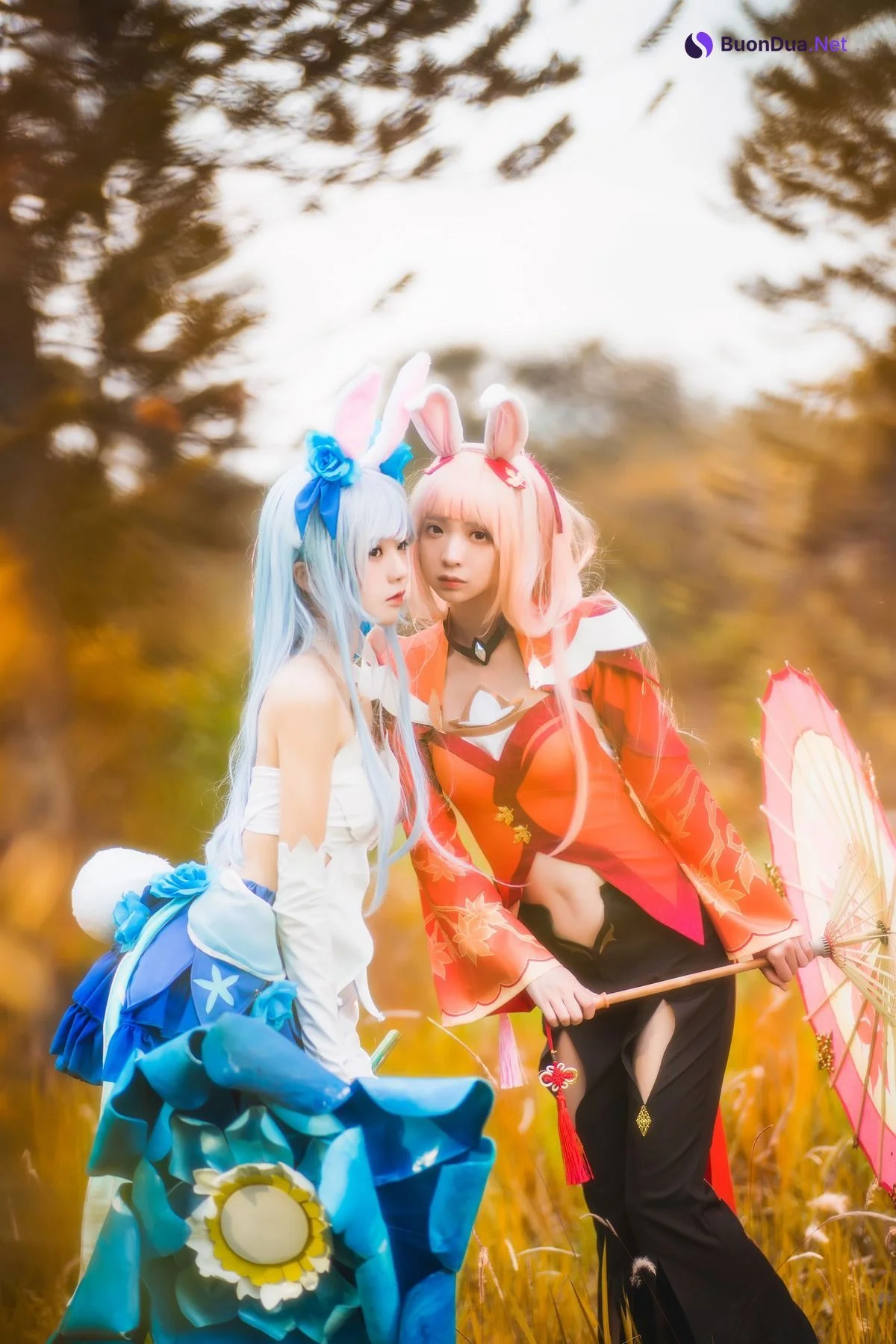 [桜桃喵] Kemonomimi 双人公孙离 ( Arena of Valor ) - Photo 13