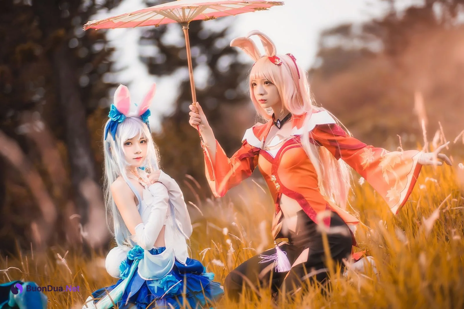 [桜桃喵] Kemonomimi 双人公孙离 ( Arena of Valor ) - Photo 14