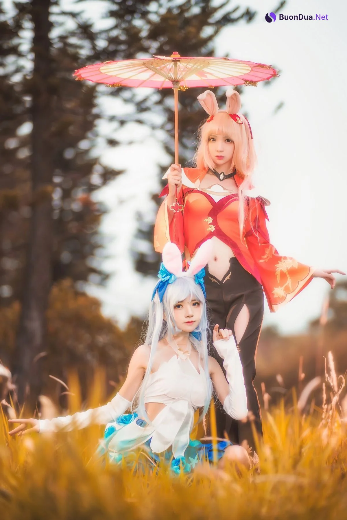 [桜桃喵] Kemonomimi 双人公孙离 ( Arena of Valor ) - Photo 15