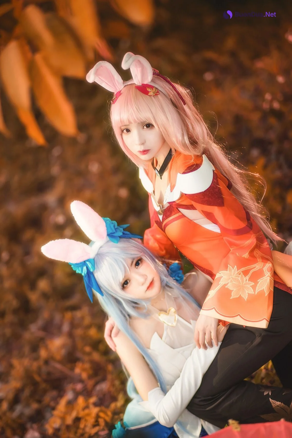 [桜桃喵] Kemonomimi 双人公孙离 ( Arena of Valor ) - Photo 3