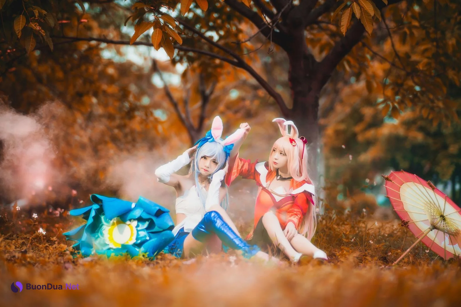 [桜桃喵] Kemonomimi 双人公孙离 ( Arena of Valor ) - Photo 5