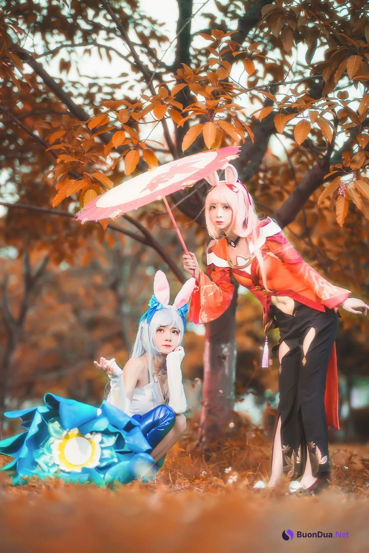 [桜桃喵] Kemonomimi 双人公孙离 ( Arena of Valor ) - Photo 9