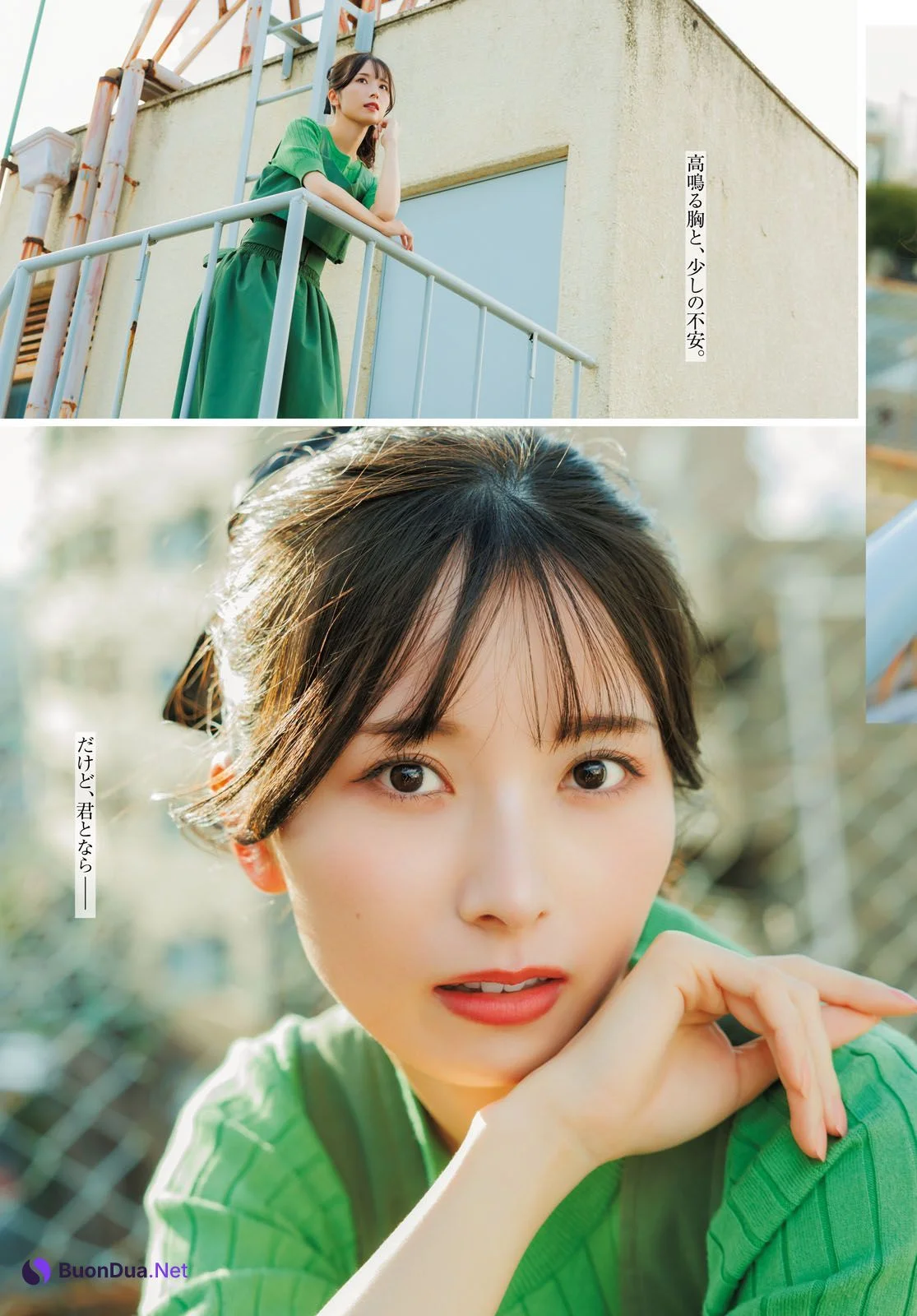 Kotoko Sasaki 佐々木琴子, Young Dragon Age ヤングドラゴンエイジ 2025.01 号増刊 - Photo 14