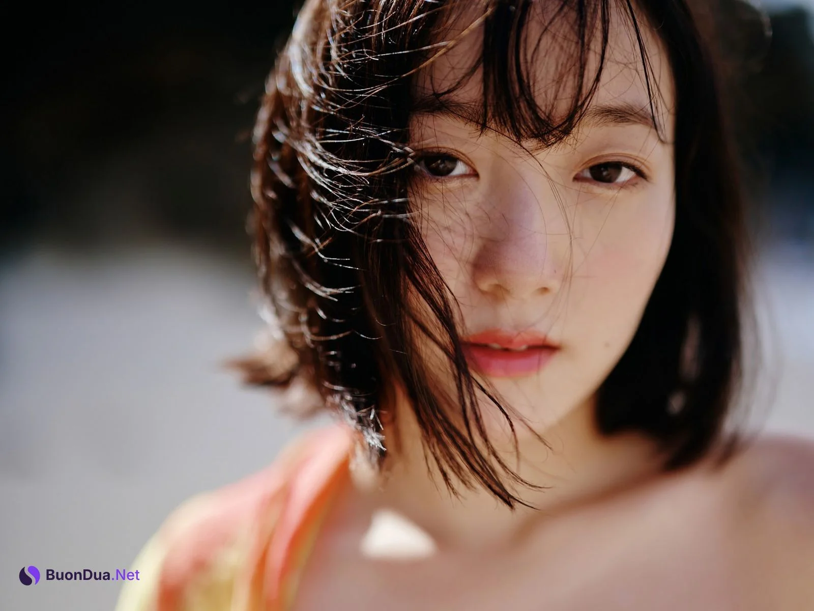 Kyouka 京佳, ラスト写真集 『ＥＳＴＲＥＬＬＡ』 Set.03 - รูปภาพ 9