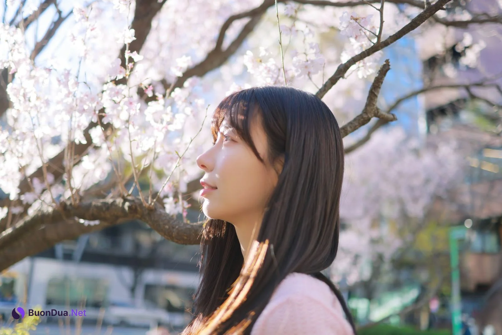쏘블리 (@leeesovely) – Sakura - 写真 15
