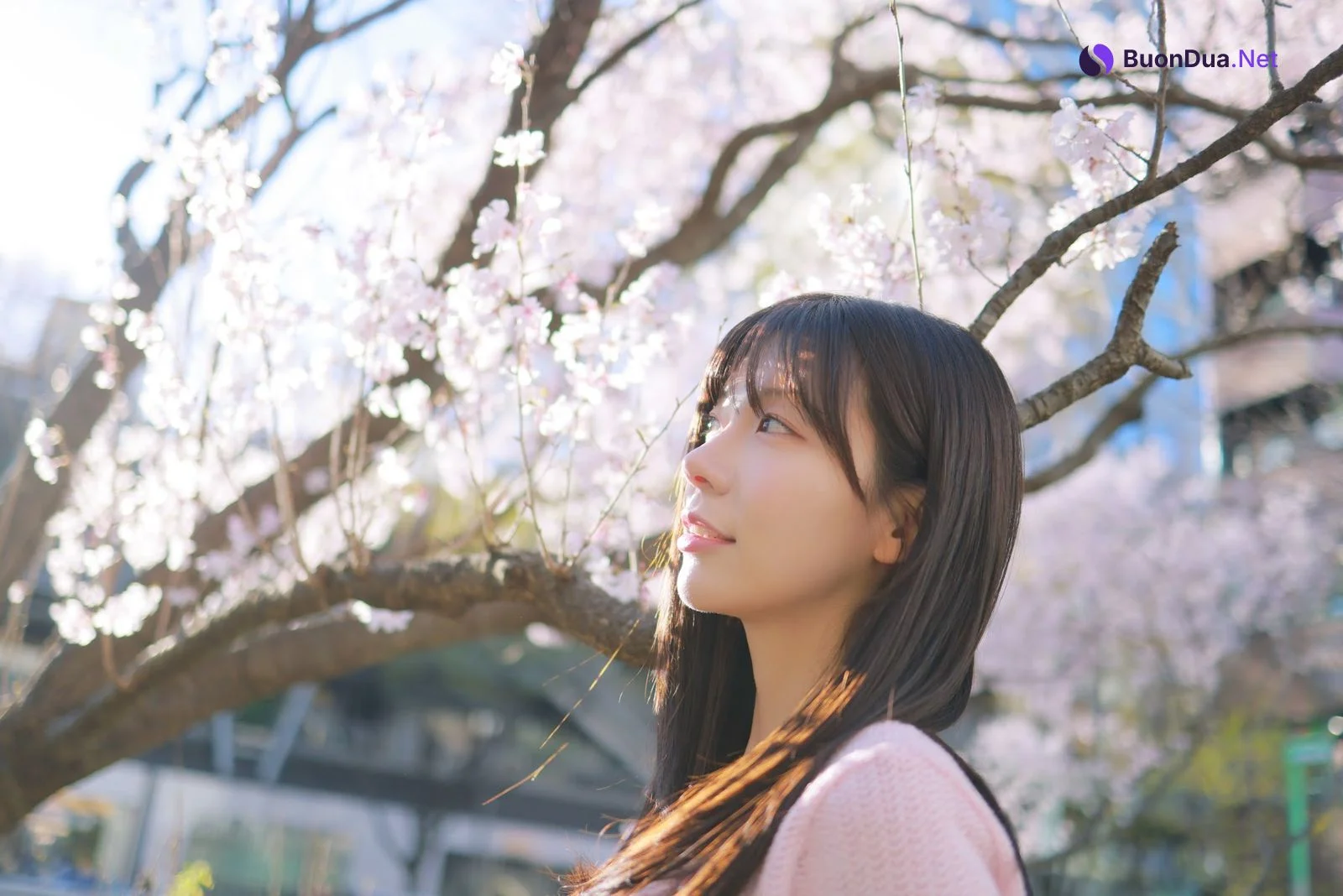 쏘블리 (@leeesovely) – Sakura - 写真 16