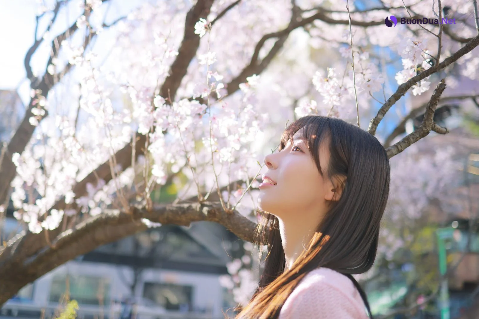 쏘블리 (@leeesovely) – Sakura - 写真 17