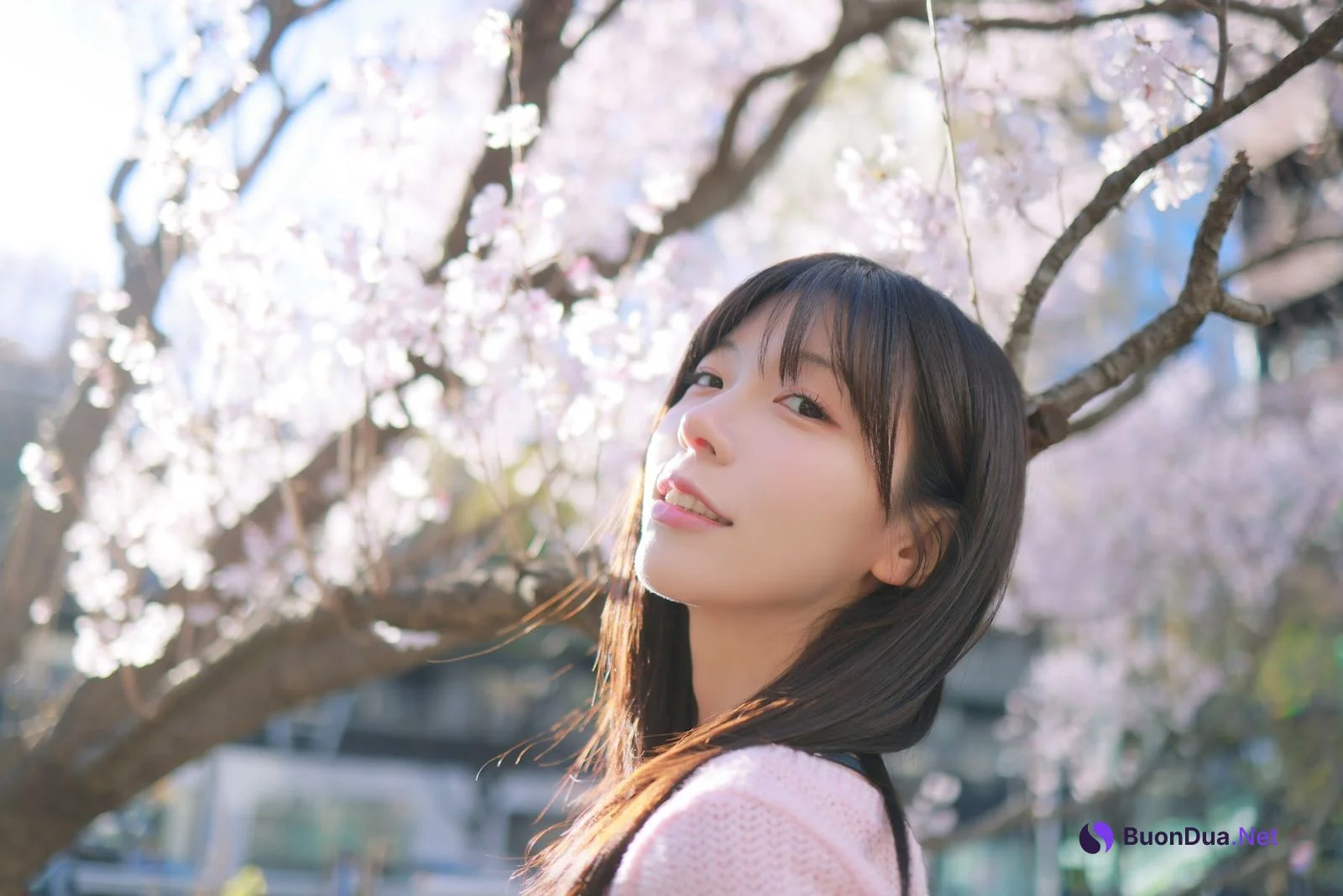 쏘블리 (@leeesovely) – Sakura - 写真 18