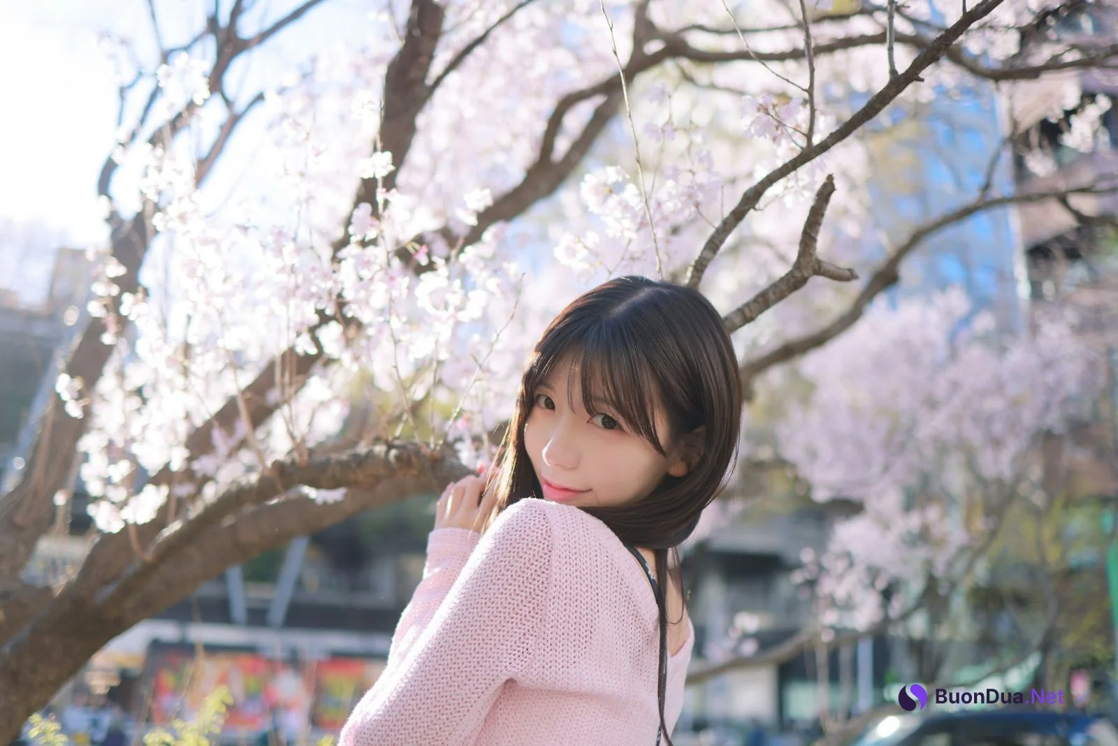 쏘블리 (@leeesovely) – Sakura - 写真 19