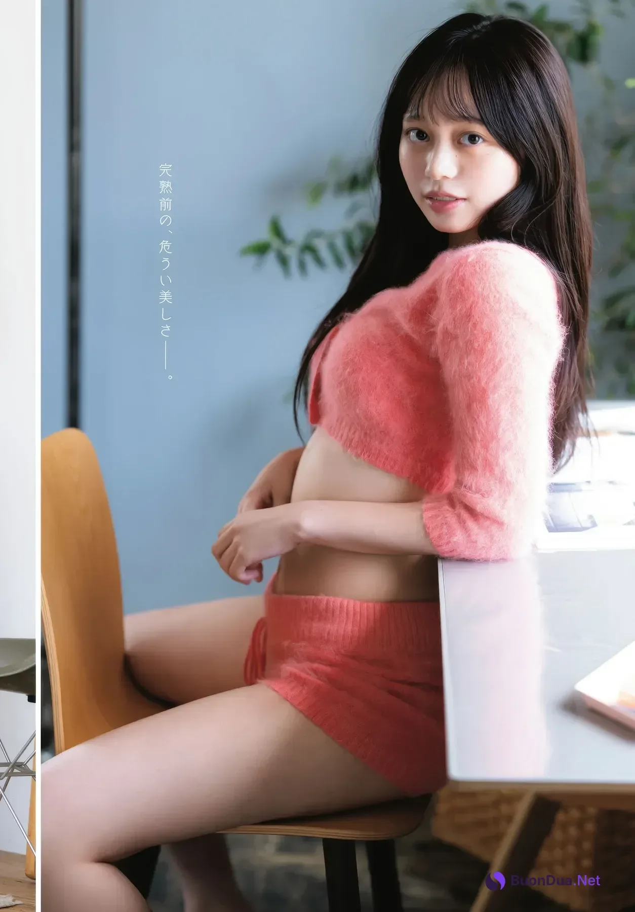 Mai Horai 蓬莱舞, Dragon Age ヤングドラゴンエイジ 2025.11 Vol.31 - Photo 13