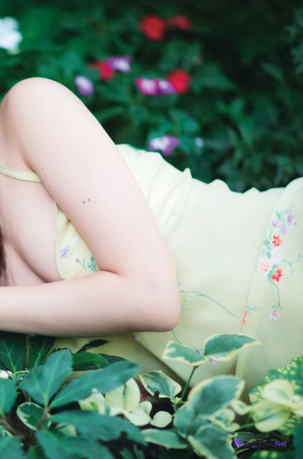 Mai Shiraishi 白石麻衣, ファースト写真集 「清純な大人」 Set.04 - Photo 14