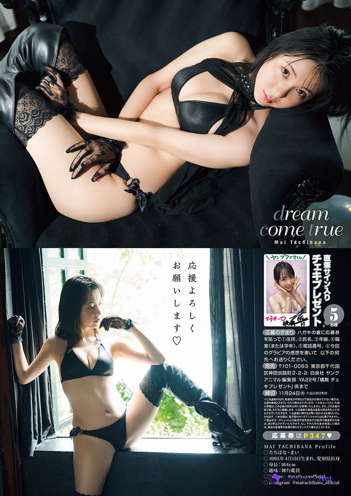 Mai Tachibana 橘舞, Young Animal 2022 No.22 (ヤングアニマル 2022年22号) - Photo 8