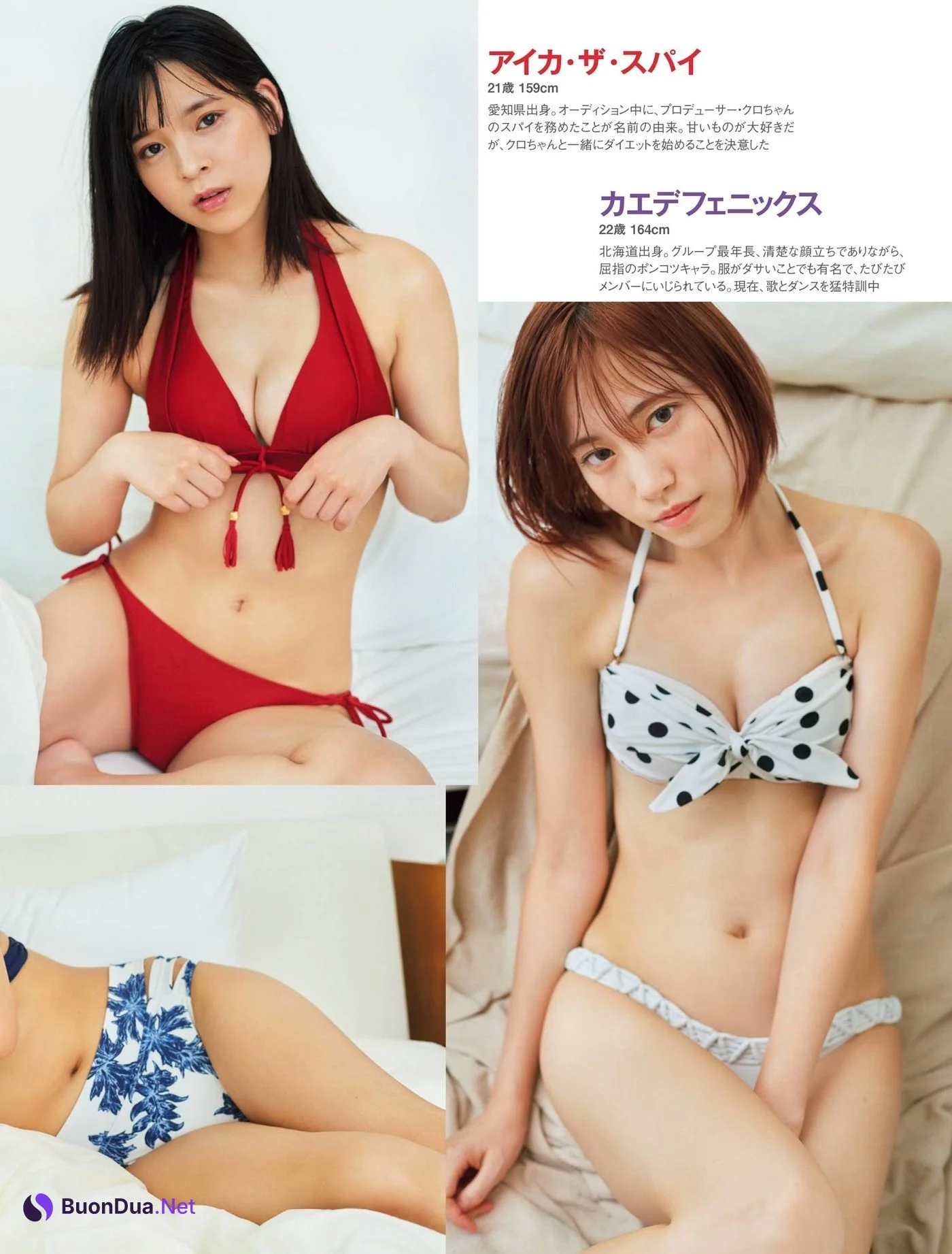 Mameshiba no Taigun 豆柴の大群, FRIDAY 2020.12.11 (フライデー 2020年12月11日号) - Photo 2