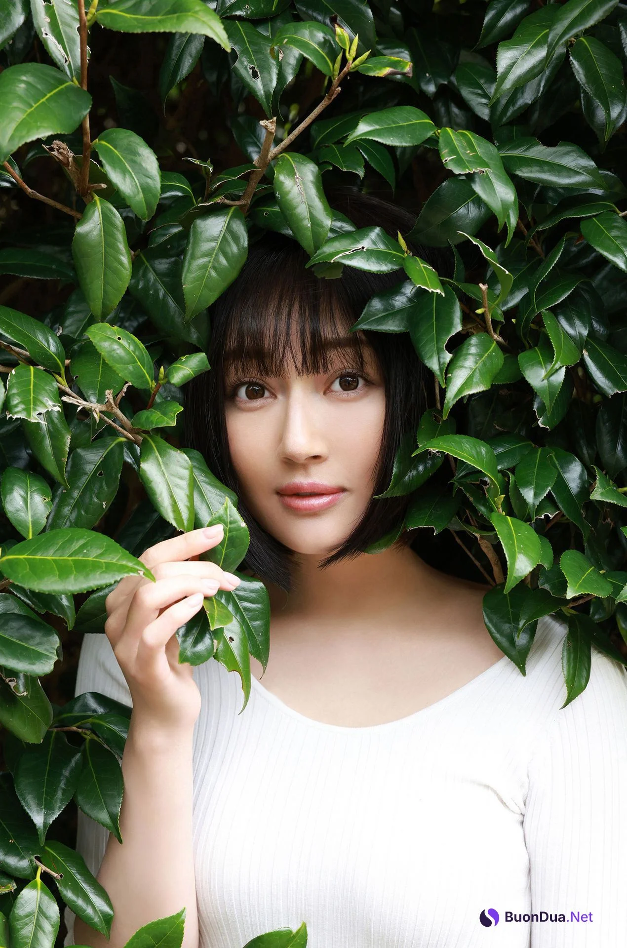 Manami Shindo 新藤まなみ, 写真集 「Ｑｕｅｅｎｓ」 Set.02 - รูปภาพ 2