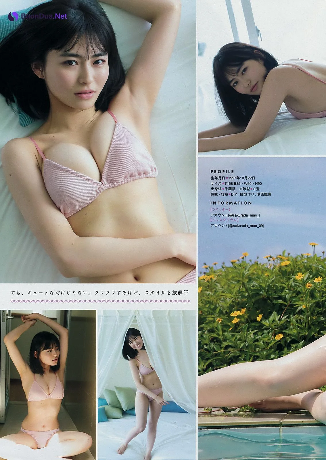 Mao Sakurada 桜田茉央, Young Magazine 2019 No.36-37 (ヤングマガジン 2019年36-37号) - Photo 3