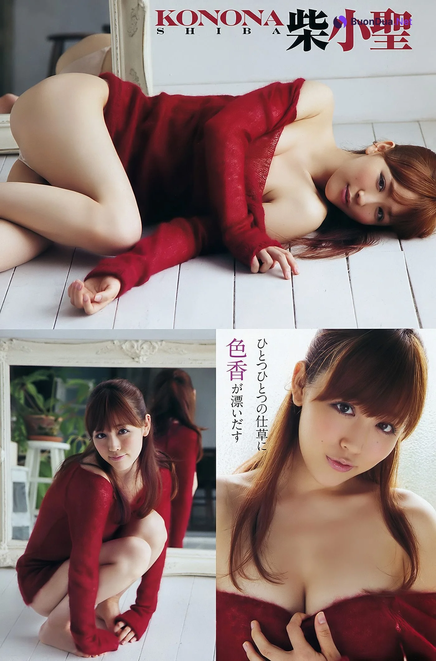 Mayu Nozomi 希美まゆ, Young Animal Arashi 2011 No.12 (ヤングアニマル嵐 2011年12月号) - Photo 15